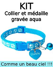 Médaille Gravée Personnalisée pour Chien et Chat $ 5.99 - Photo 10