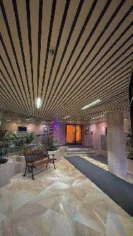 4 1/2 condo rénové près Cegep Bois de Boulogne - Photo 4