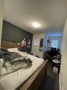 Rooms for Rent Near Brock University - Photo 10