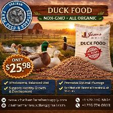 Duck Food – Balanced Nutrition for Healthy Flocks!