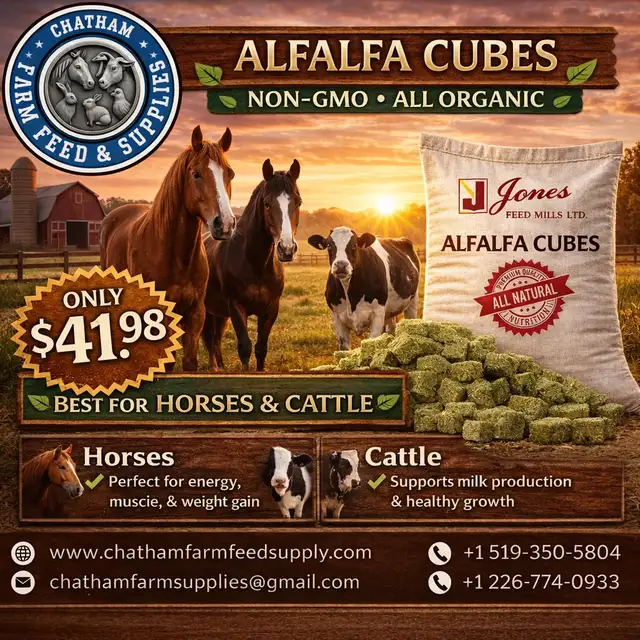 Alfalfa Cubes – Premium Nutrition for Your Livestock!