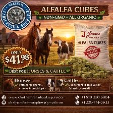 Alfalfa Cubes – Premium Nutrition for Your Livestock!