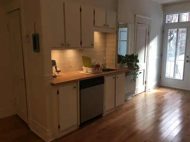 Plateau Mont-Royal, charmant 4 1/2 rénové/renovated - Photo 2