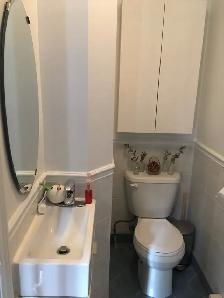 Plateau Mont-Royal, charmant 4 1/2 rénové/renovated - Photo 6