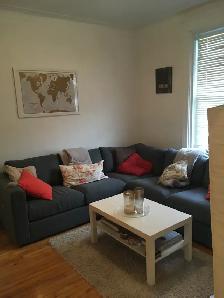 Plateau Mont-Royal, charmant 4 1/2 rénové/renovated - Photo 7