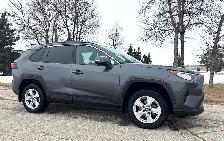 2019 Toyota RAV4 XLE AWD ONE OWNER LOCAL TRADE - WARRANTY INCL