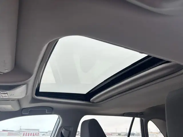 2019 Toyota RAV4 XLE AWD ONE OWNER LOCAL TRADE - WARRANTY INCL - Photo 5