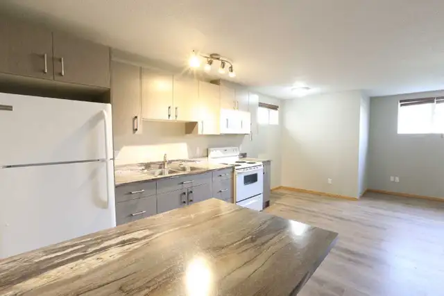 2 Bdr Lower Suite in Broders Annex Available May.1 - Photo 3