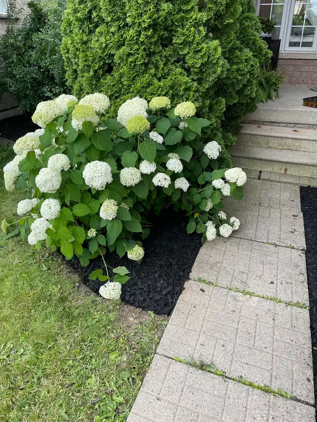 Now Hiring: Landscaping Crew Members - Photo 4