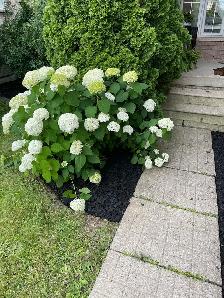 Now Hiring: Landscaping Crew Members - Photo 4