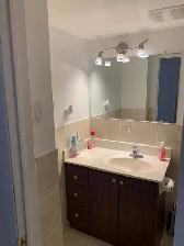 Basement Apartment Available for Rent - Photo 5