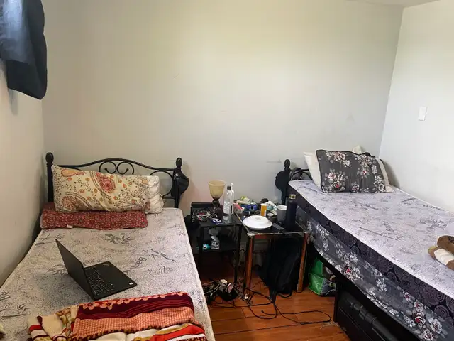 Room Female