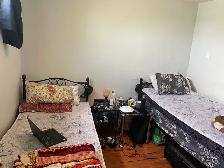 Room Female