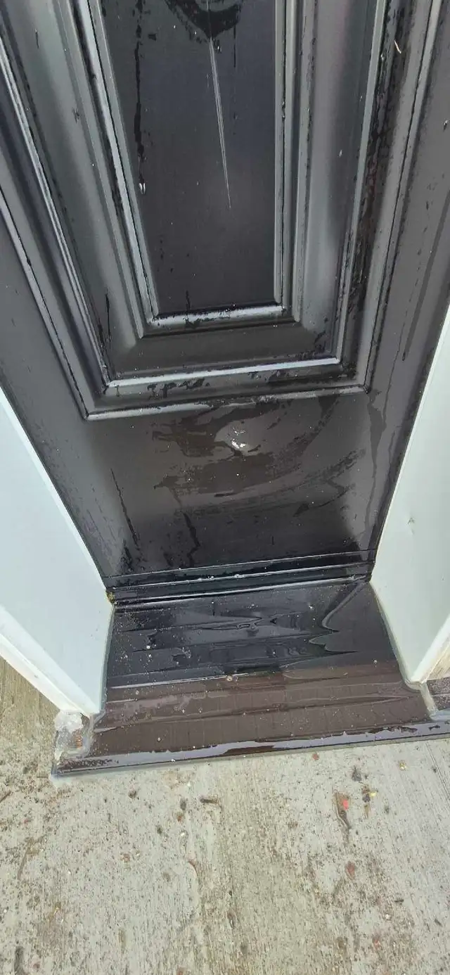 Beautiful Entrance Door - Photo 7