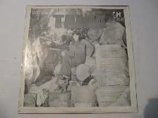 Tania Inimitable Super Rare Top Hits Latino Vinyl LP Circa 1973 - Photo 3