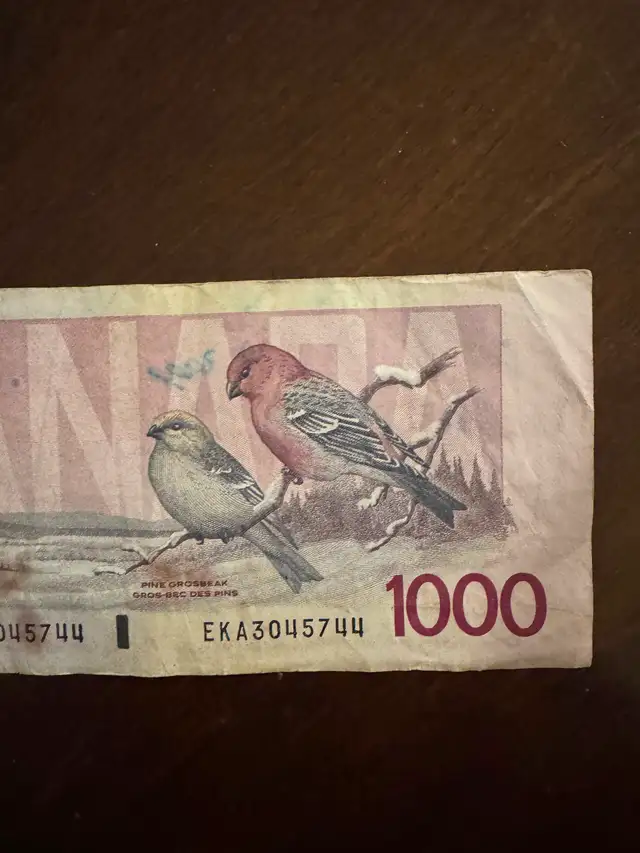 1000 Canadian Note - Photo 6
