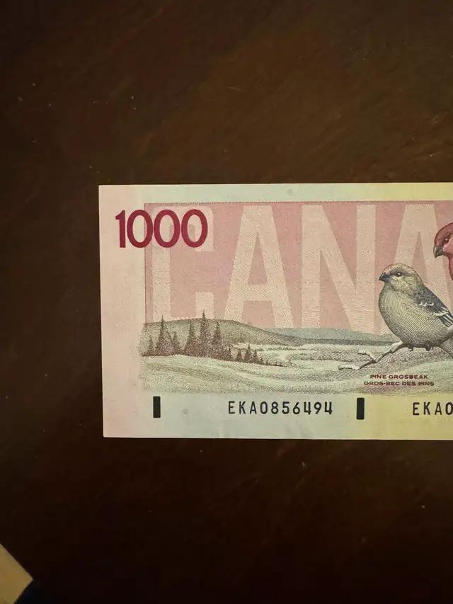 1000 Canadian Note - Photo 10