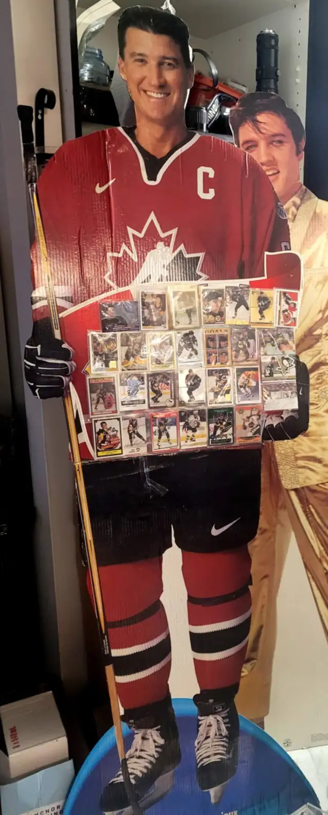 18 et 29 avril show collectionneur carte de hockey . pokemon.vhs