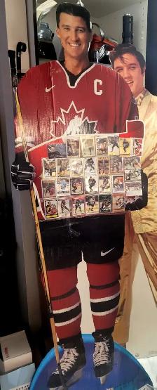 18 et 29 avril show collectionneur carte de hockey . pokemon.vhs