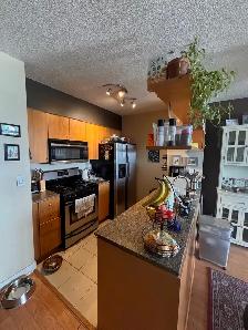 LIVE IN THE SKY- VERY HIGH - 35 MARINER- APRIL 15 or MAY 1 - Photo 3