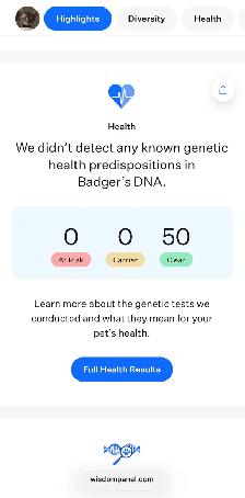 Male Bengal - Photo 4