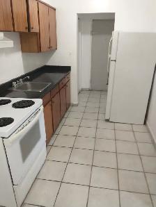 Downtown. Large 1 Bedroom Apt. All incl. utils. $1250 - Photo 2