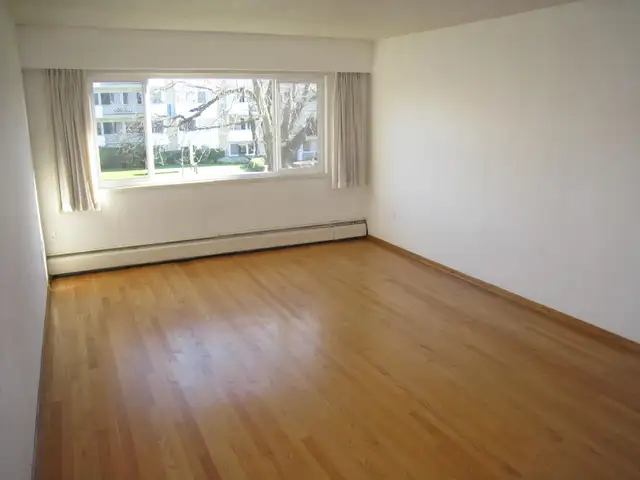 1 Bdr near Cook St Village - Photo 3