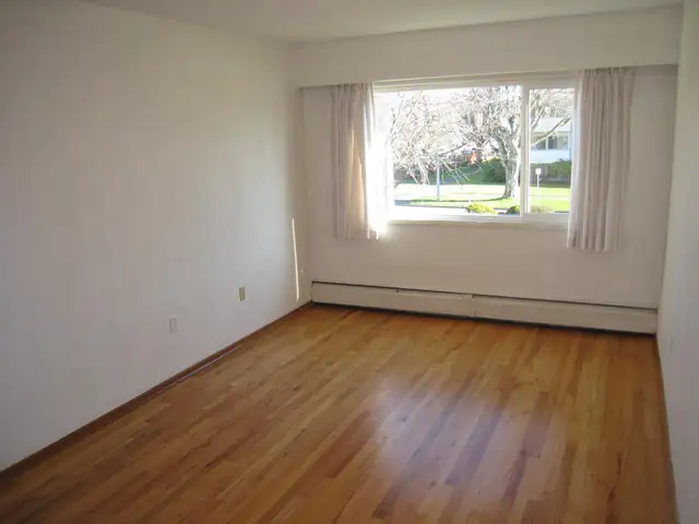 1 Bdr near Cook St Village - Photo 4