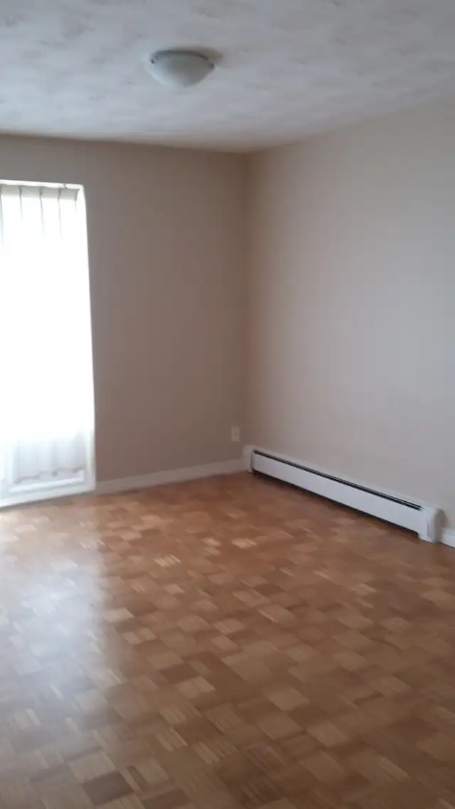 Bachelor Suite at Georgian Apts. May 1st. - Photo 3