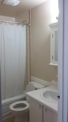 Bachelor Suite at Georgian Apts. May 1st. - Photo 4