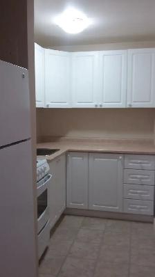 Bachelor Suite at Georgian Apts. May 1st. - Photo 6