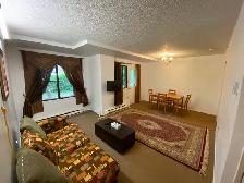 Furnished and big 3 1/2 apartment (downtown area) - apt meublé