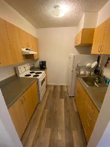 Furnished and big 3 1/2 apartment (downtown area) - apt meublé - Photo 6