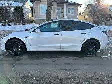 2021 Tesla Model 3 Standard Range Plus  For Sale - Photo 4