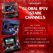 Reliable IPT\/ Service