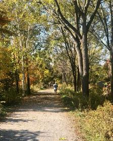 Quiet all inclusive 1 bedroom apt - across from beach/trails - Photo 7