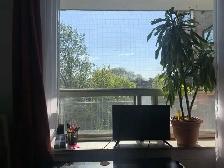 Studio Apartment for Rent | May 1 Lease | $1,395/mo