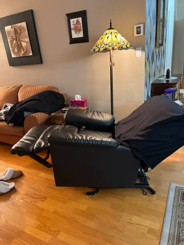 Lazy boy electric - Photo 2