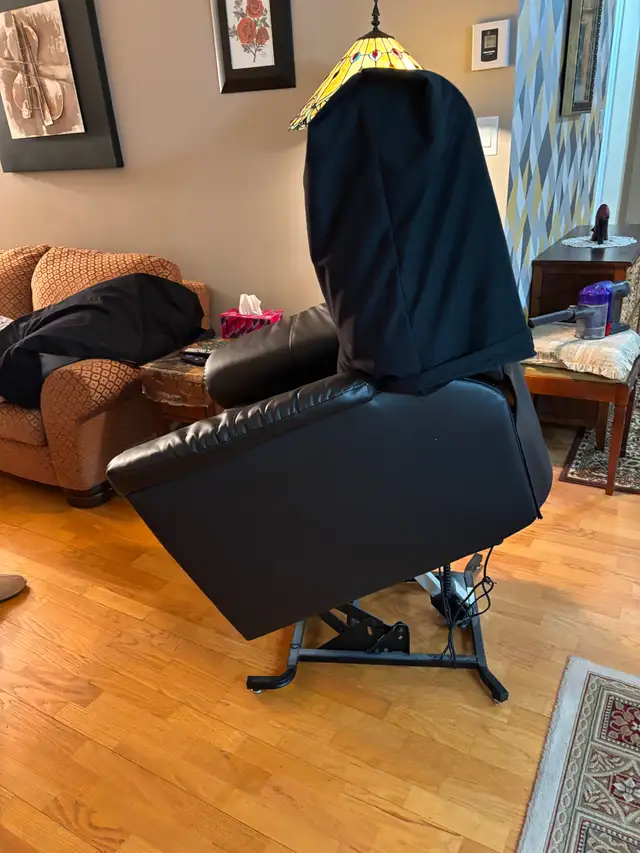 Lazy boy electric - Photo 3