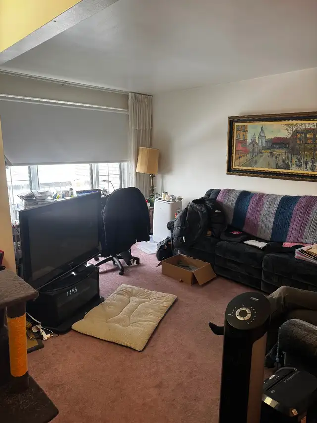 Spacious Upper-Level Appartment in peaceful neighborhood - Photo 3