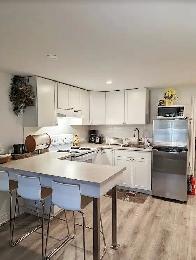 Private Furnished Apartment | Parking | York University - Photo 3