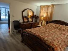Private Furnished Apartment | Parking | York University - Photo 5