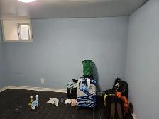 2 Bedroom Basement
