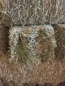 2025 3rd cut alfalfa squares - Photo 2