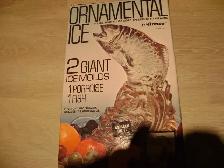 Vintage Ornamental Ice by Ronco - Ice Sculpture Moulds