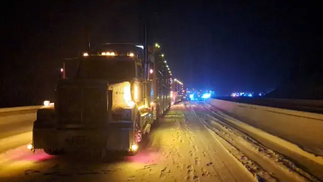 Cattle hauler wanted - Photo 3