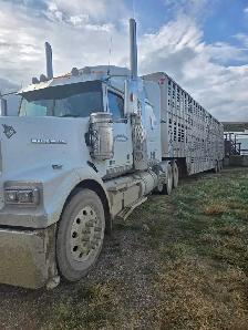 Cattle hauler wanted - Photo 5