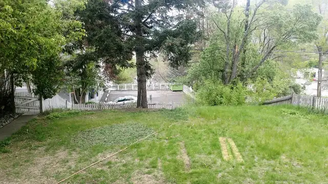 2 bdr main floor with large yard - 2 blocks from downtown - Photo 2