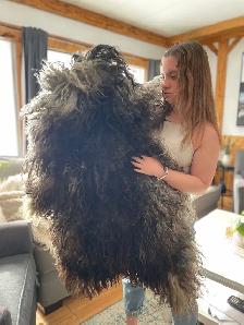 Custom Hide Tanning - Photo 3