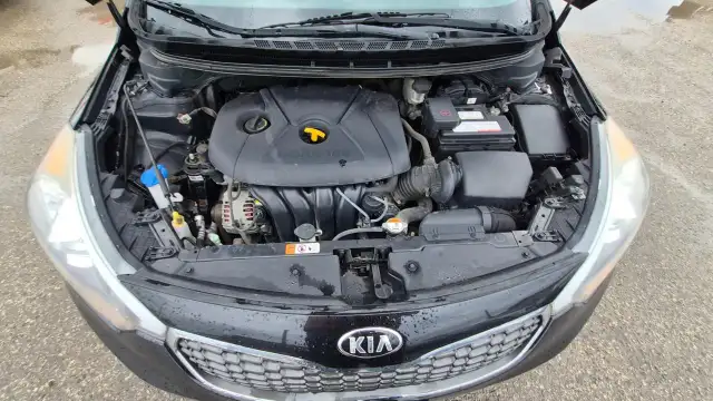 2015 Kia Forte LX, AUTO, 4 CYL, ONLY 146KMS, CERTIFIED - Photo 14